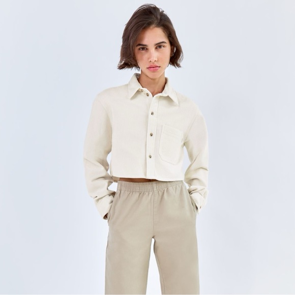 TNA Aritzia Corduroy Union Cropped Button Up Long Sleeve Blouse Dusky Green - Picture 6 of 15